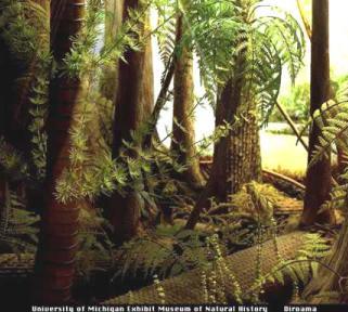 Carboniferous forest (image from Earth History Resources)
